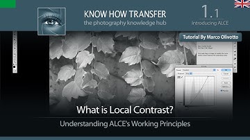 1.1 Introducing ALCE | What is Local Contrast | Tutorial by Marco Olivotto