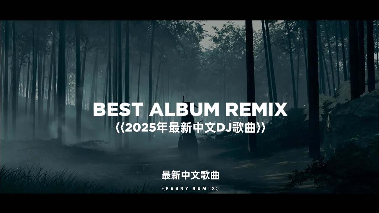 Best Album Remix ⟨⟨2025年最新中文DJ歌曲⟩⟩ - 抖音趋势 (Bootleg Febry Remix)