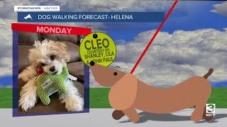 Dog-walking forecast (June 23, 2025)