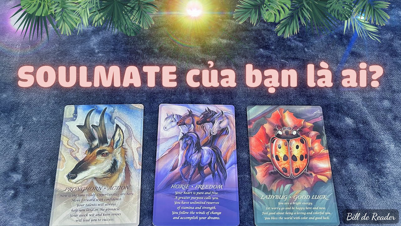 🪷 SOULMATE (Tri Kỷ) CỦA BẠN LÀ AI? 🍃 - Chọn 1 tụ bài Tarot [TIMELESS]