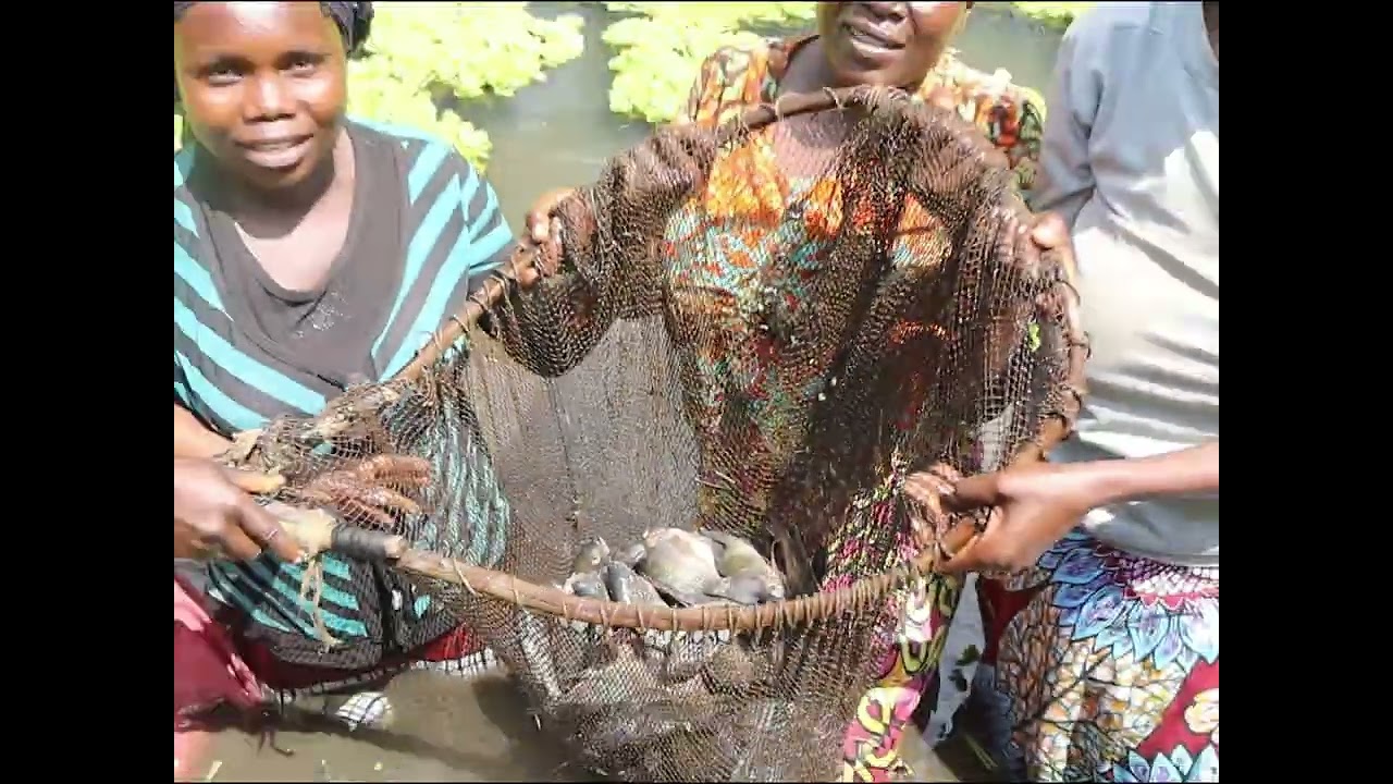 HOW LONG WILL WOMEN IN THE DRC CONTINUE TO SUFFER