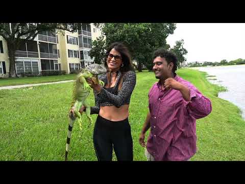 She caught this giant iguana! all by her self!!