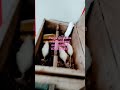 Panya Was Kisasa Wenye Mafunzo Maalumu Wanapatikana 0752395414 Karibu Sana 