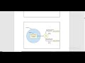 Clinical Trial Part 1 