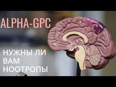 Ноотропы, какого результата ждать. Alpha GPC