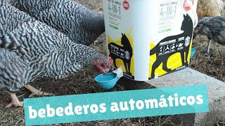 Cómo hacer un bebedero automático para tus gallinas y gallinero.