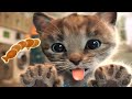 Little Kitten Adventure Games - Care for your super pet cat - Kids Game