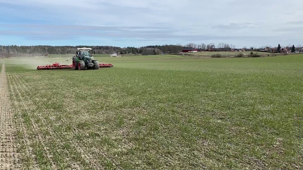 Vältning Väderstad Rexius 1230 HD