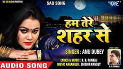 सबसे दर्दभरा गीत 2019 - Anu Dubey - हम तेरे शहर से - Ham Tere Shahar Se - Pehla Pyar -Hindi Sad Song