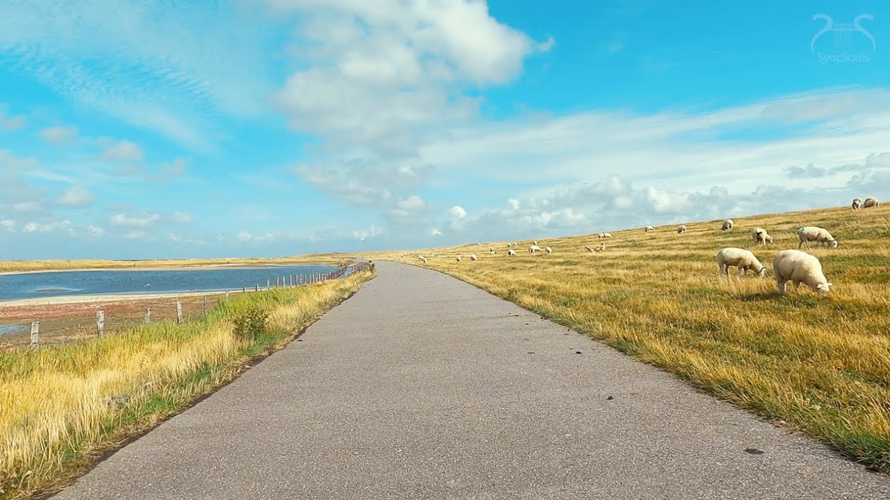 Föhr Wanderung: Virtueller Spaziergang, Radtour Nordsee Insel, Küste mit maritimer Entspannungsmusik