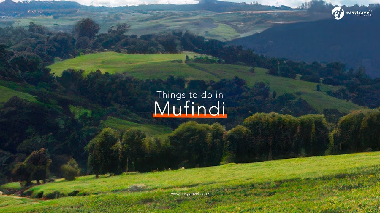 Things to do in Mufindi. 