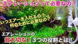 水草水槽にエアレーションをするべき３つの理由とは 熱帯魚 水草には酸素が必要 アクアリウムのノウハウ Adaパレングラスでエアレーション Youtube