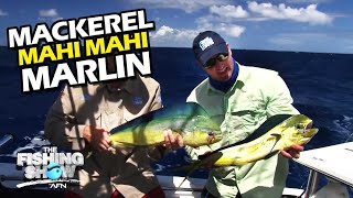 Mackerel, Mahi Mahi and Marlin on Trolled Baits
