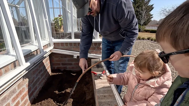 Filling Up the Hartley Cold Frames with Ranunculus!  // Garden Answer