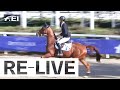 RE-LIVE Jumping 6yo horses I FEI WBFSH Eventing World Breeding Championship for Young Horses 2023