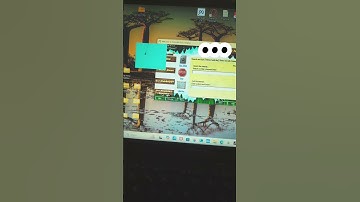 bonzi buddy got into my laptop