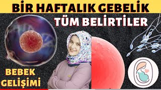 1 Haftalık Gebelik 2023