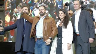 EMR: ¿Cuáles fueron las causas para que Vox obtuviera menos escaños de los esperados?