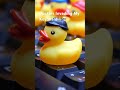 Duckies invaded my keyboard