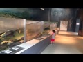 猪苗代淡水魚水族館 の動画、YouTube動画。