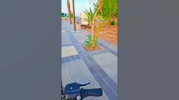 ولما بلغ أشده واستوى، جزئية من سورة القصص بصوت القارئ الشريف بن هاشم