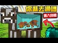 Minecraft：麥塊玩家【99%的人不知道】拿終界珍珠就能進入任何生物身體裡面！只要給怪物吃鑽石💎身體內部裡面就會充滿鑽石磚💎這會不會太神奇了😱！！！【禾卯－我的世界】