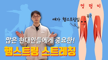 햄스트링(=엉덩이 뒤쪽 근육) 유연성 평가와 스트레칭