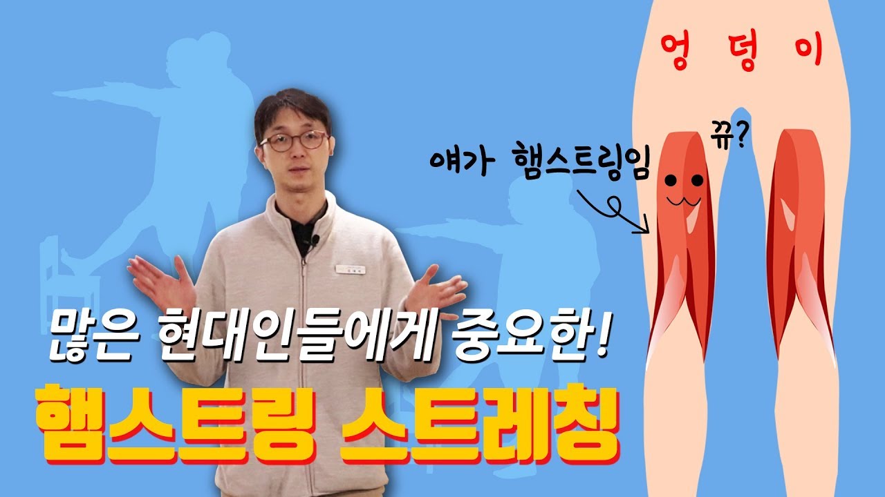 햄스트링(=엉덩이 뒤쪽 근육) 유연성 평가와 스트레칭