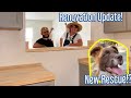 We Have A Kitchen Now. (+New Puppy!?) *Renovation Update*