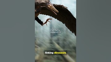 150M-Year-Old Bird?! Meet Archaeopteryx