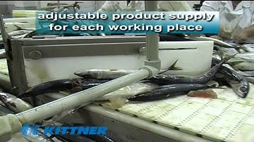 Fish processing line