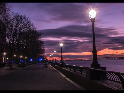 Öldürdüm çiçeğimi Yaşatamadım