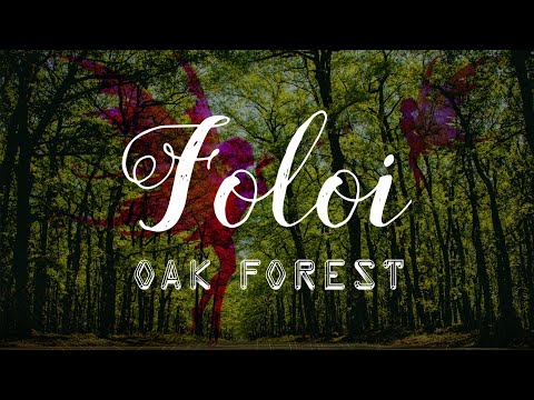 Το παραμυθένιο δάσος της Φολόης - The fairy tale forest of Foloi Oak Forest 🌳🌳