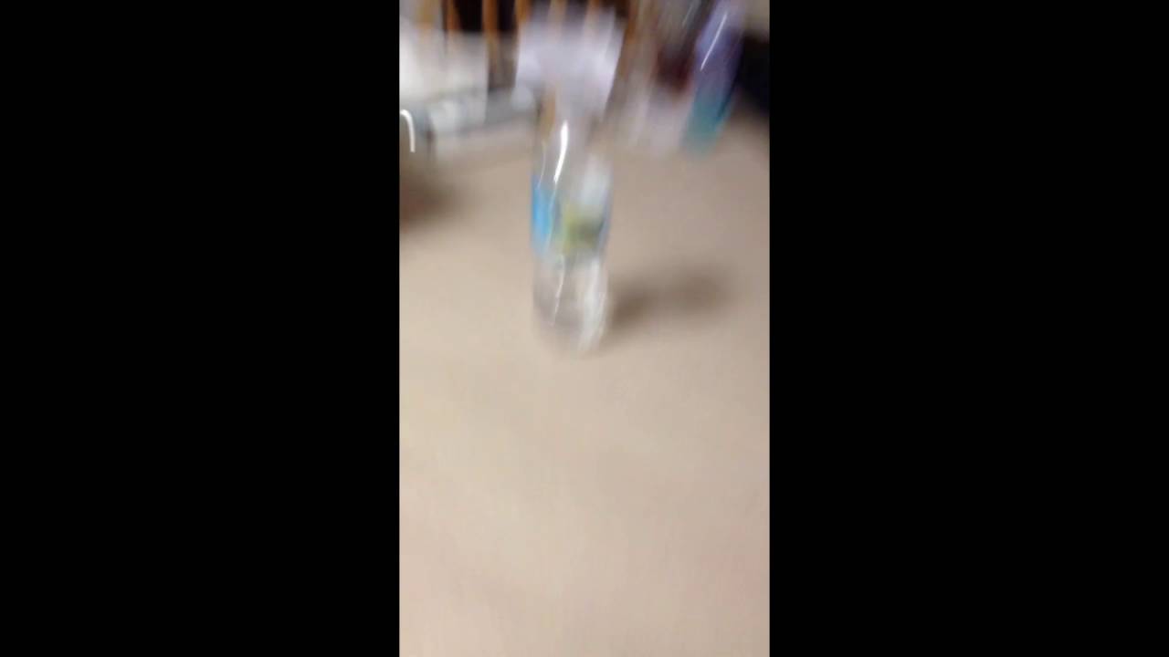 EPIC WATER BOTTLE FLIP COMPILATION!