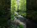 青森・奥入瀬渓流の景色 The breathtaking views of Oirase Stream, Aomori. #japantravel #visitjapan #絶景 #国内旅行