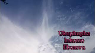 Ukuphupha inkomo ebomvu