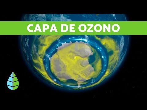 Video: Cómo Prevenir Los Agujeros De Ozono