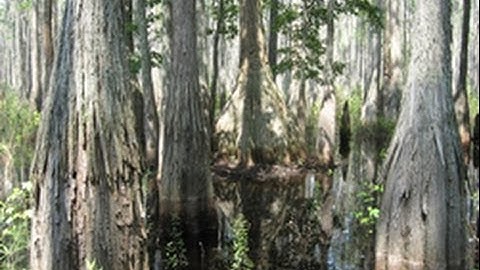 Wetland Restoration Hydrology Design and Overview