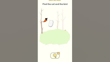 Dop 2 level 527 Find the cat and the bird