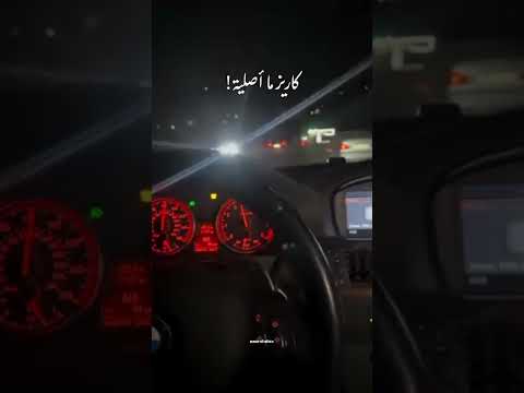 هيبة وحلا رورو حرب