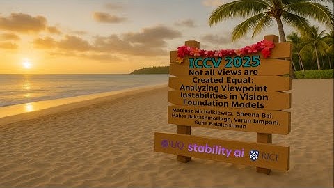 Not all Views are Created Equal: Analyzing Viewpoint Instabilities (ICCV 2025 Presentation)