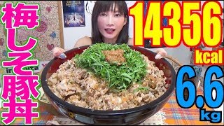 ⁣【MUKBANG】 So Refreshing!! Ultra Huge Ume Shiso Pork Rice Bowl!! [6.6Kg] 14356kcal [CC Available]