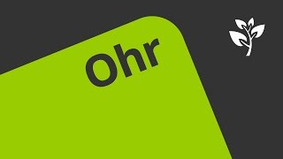 Wie das Ohr funktioniert: der Hörvorgang | Biologie | Humanbiologie