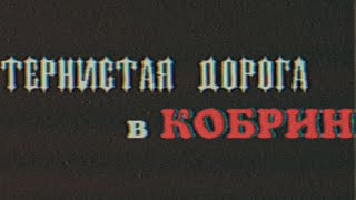 Тернистая дорога в Кобрин