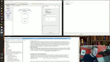 CIS1400 | example ch03pe06 function call in flowchart Raptor