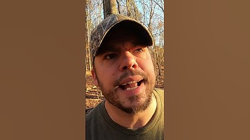 When You Get LOST In The Woods