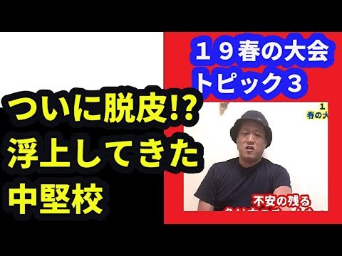 東農大三、浦和実、大商大高・・躍進の中堅校トーク(2019高校野球・春の大会トピック3)