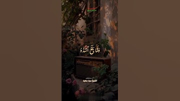 قرآن كريم#CapCut #تلاوة #تلاوة خاشعة #قران_كريم_ارح_سمعك_وقلبك#قران الشيخ سيد سعيد _القرآن سورة يوسف