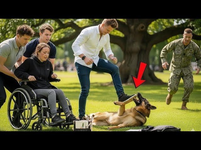 A YouTube thumbnail with standard quality