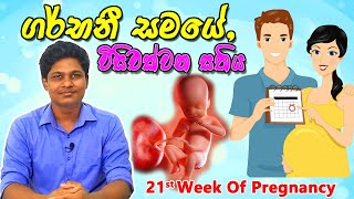 Pregnancy 21st Week | Sinhala Medical Review | අම්මයි බබයි